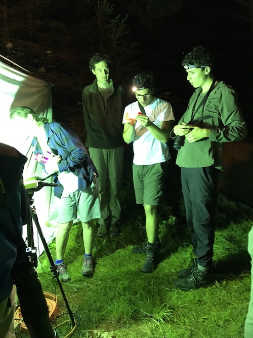 Mothing-with-Baz-Conlin---Jeff-Skevington.JPG